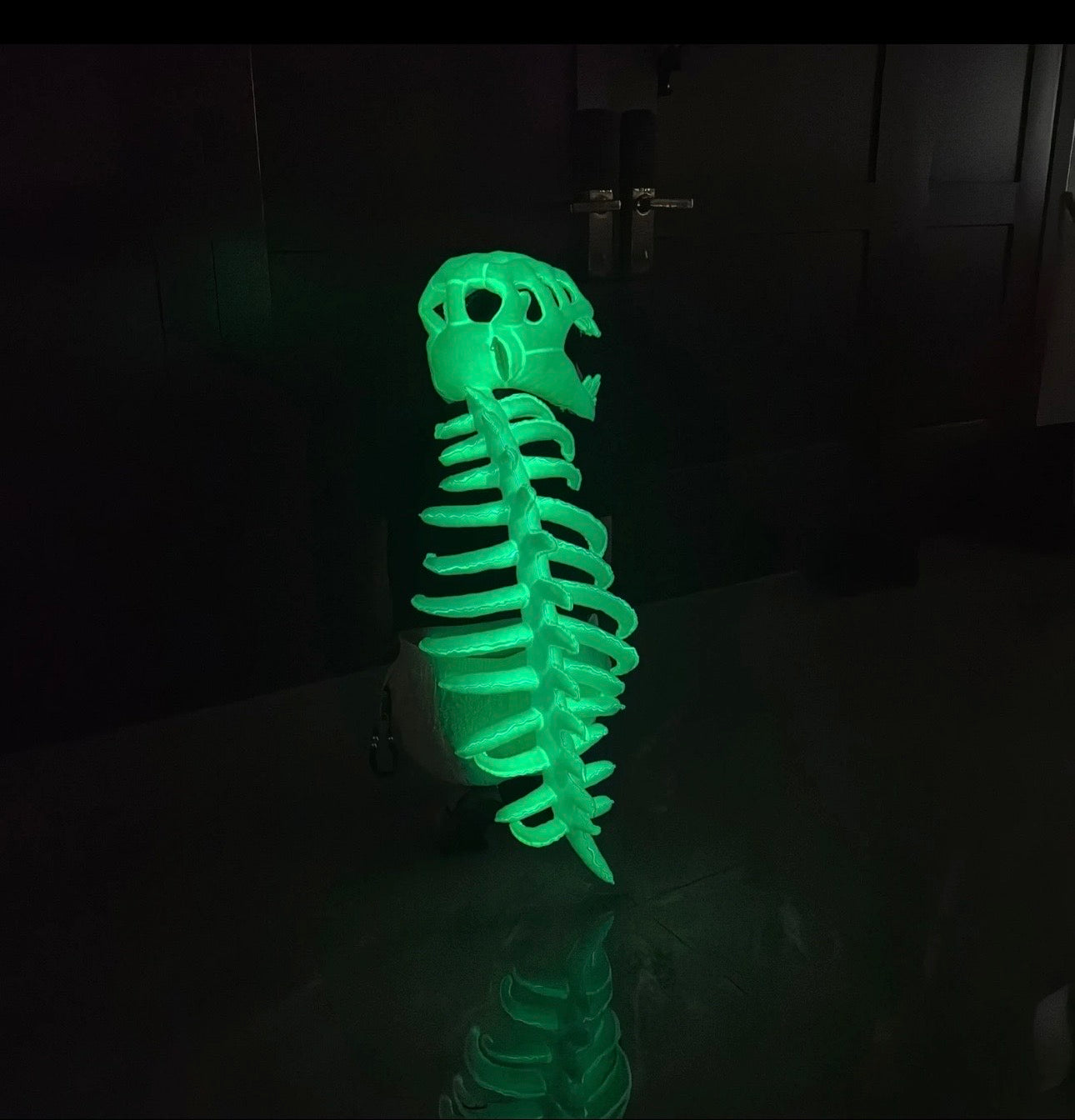 My Cozy Dino™